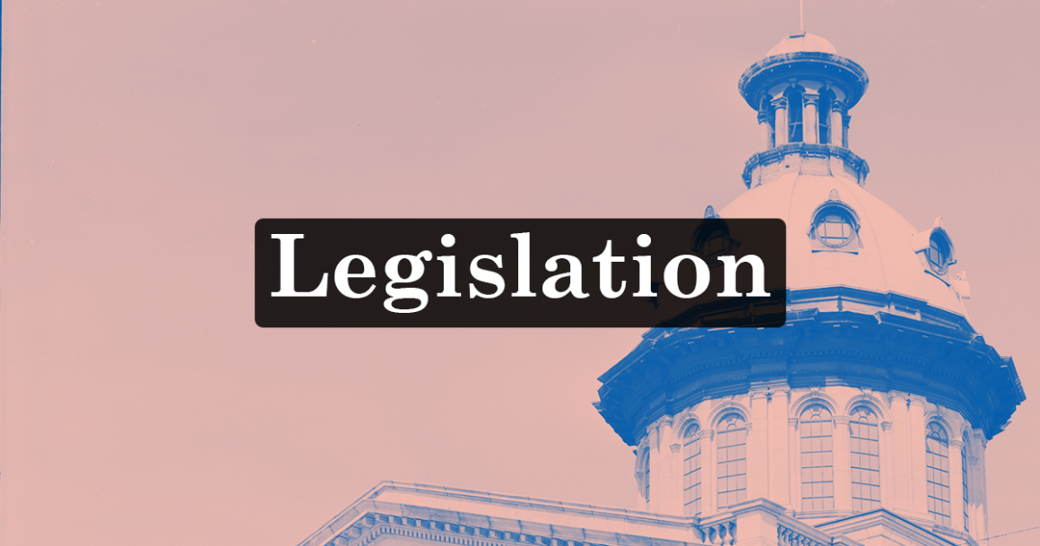 "Legislation." Text appears over an image of the South Carolina State House dome tinted pink and blue.