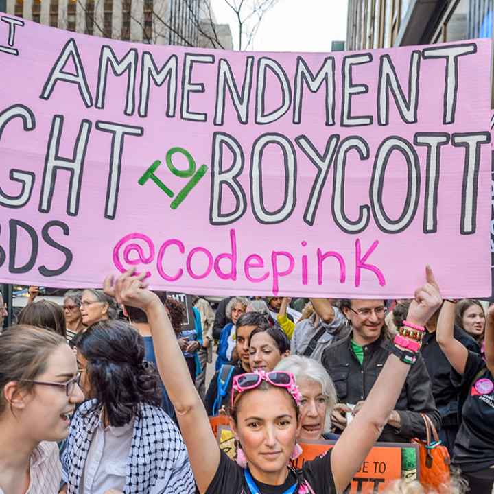 Protesters holding BDS signs